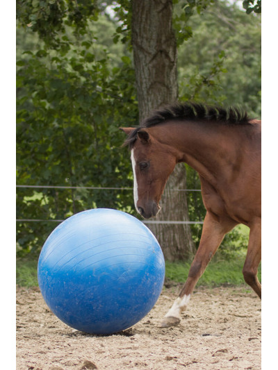 Ballon de jeu pour chevaux bleu - QHP