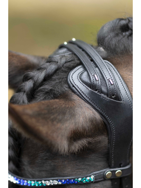 Bridon Port Royal HKM