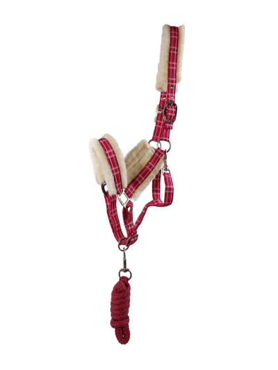 Licol Mouton à carreaux + longe - QHP