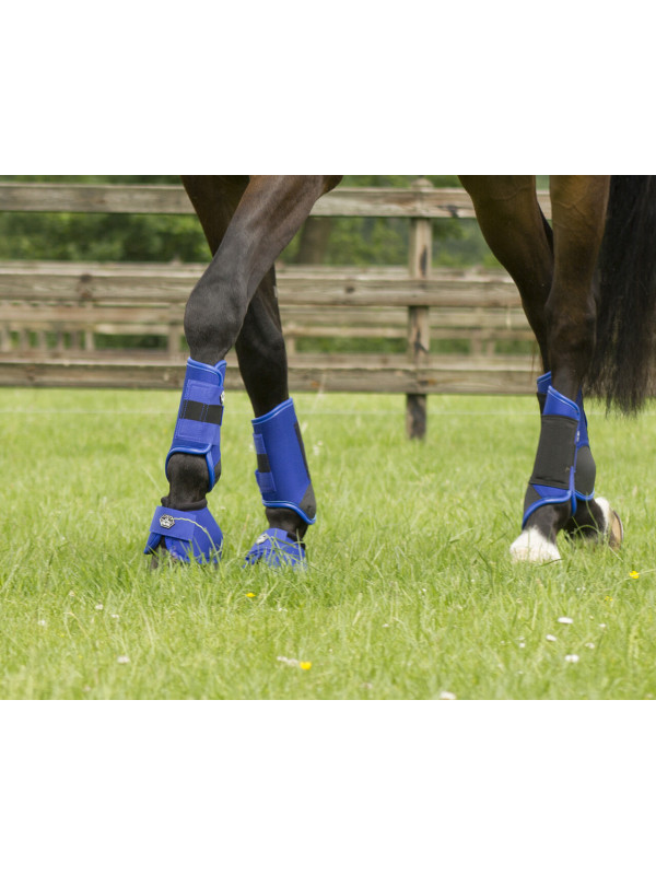 Guêtres Cheval ProTect Horse-Friends Taille L - Marron Occasion