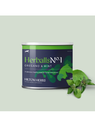 Herballs Origan&Menthe 1kg - Hilton-Herbs