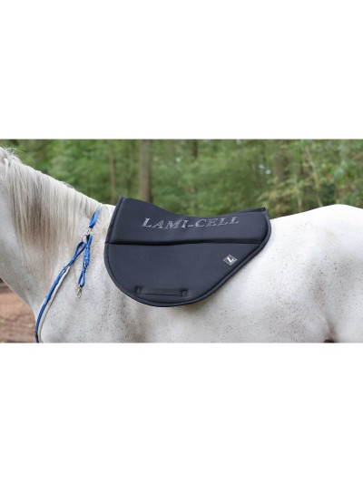 Tapis d'endurence - Lami cell