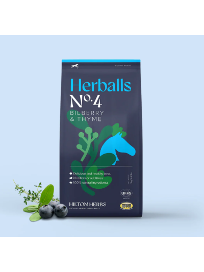 Herballs Bilberry & Thyme - Hilton Herbs