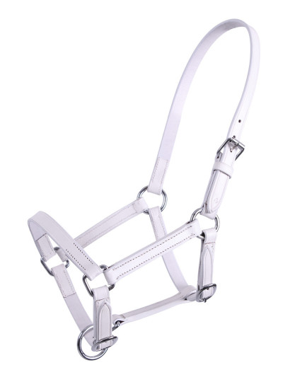 Licol poulain en cuir - QHP