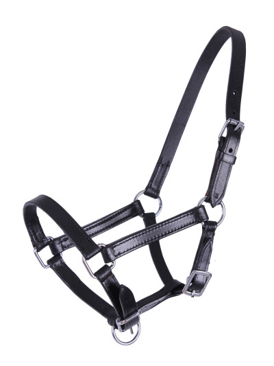 Licol poulain en cuir - QHP