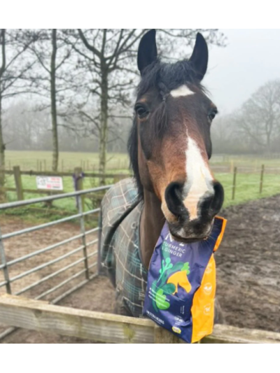 Herball Turmeric & Ginger n°2 - 2kg