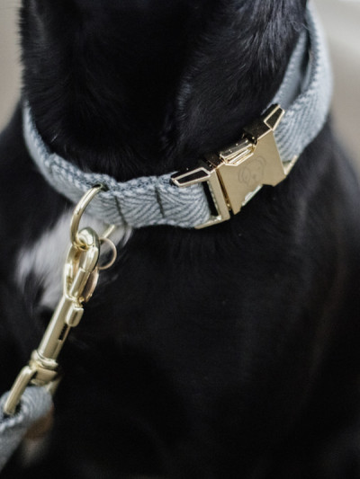 Collier pour chien Wool Bleu Ciel - Kentucky