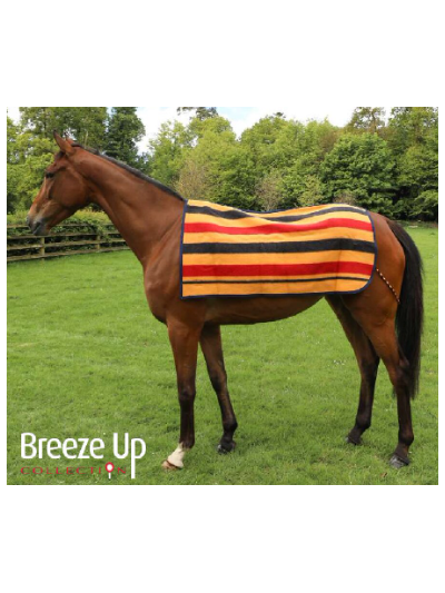 Couvre rein New market - Breeze up