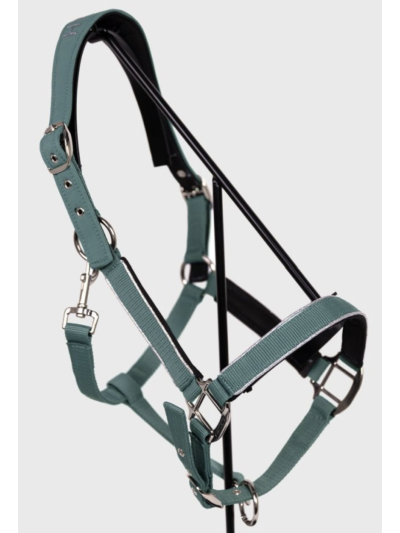 Bamara Licol - Harcour