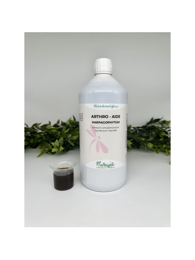 Arthro - Aide 500ml - Nutragile
