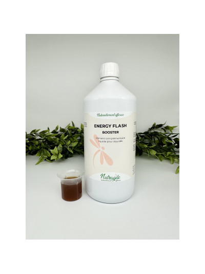 Energy Flash 500ml - Nutragile