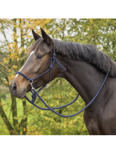 Licol en corde avec rênes - QHP