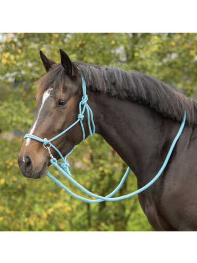 Licol en corde avec rênes - QHP