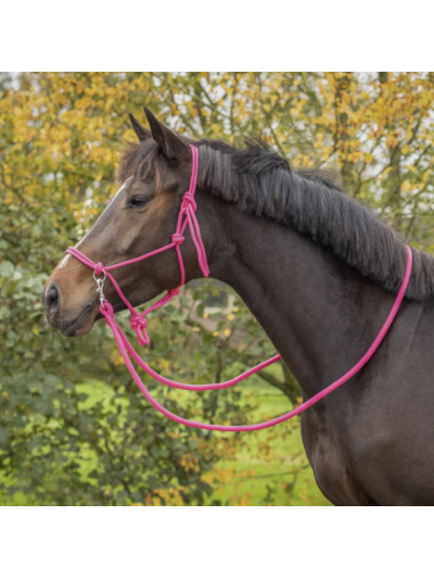 Licol en corde avec rênes - QHP
