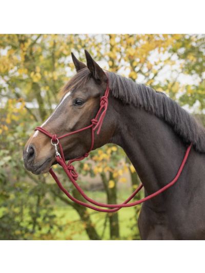 Licol en corde avec rênes - QHP