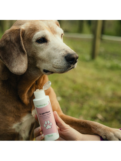 Gel Mouv Chien 125ml - Nutragile