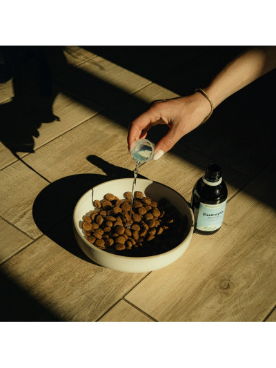 Complément alimentaire Chien 250ml "electrolytes" - Nutragile
