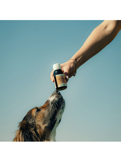 Complément alimentaire Chien 125 ml "Le Tonic" - Nutragile