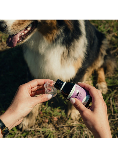 Complément alimentaire Chien 125 ml "Le Zen" - Nutragile