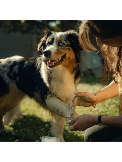 Le cataplasme d'argile naturel 750g Chien - Nutragile