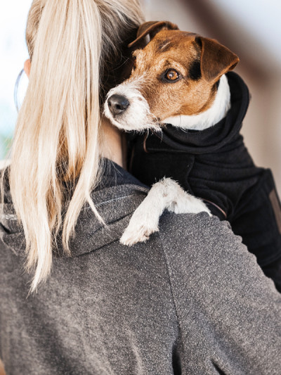 Manteau-serviette pour Chien - Kentucky